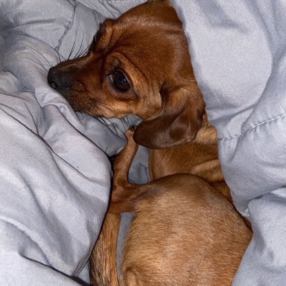 Meet your Posher, Lakysha - Picture 1 of 1